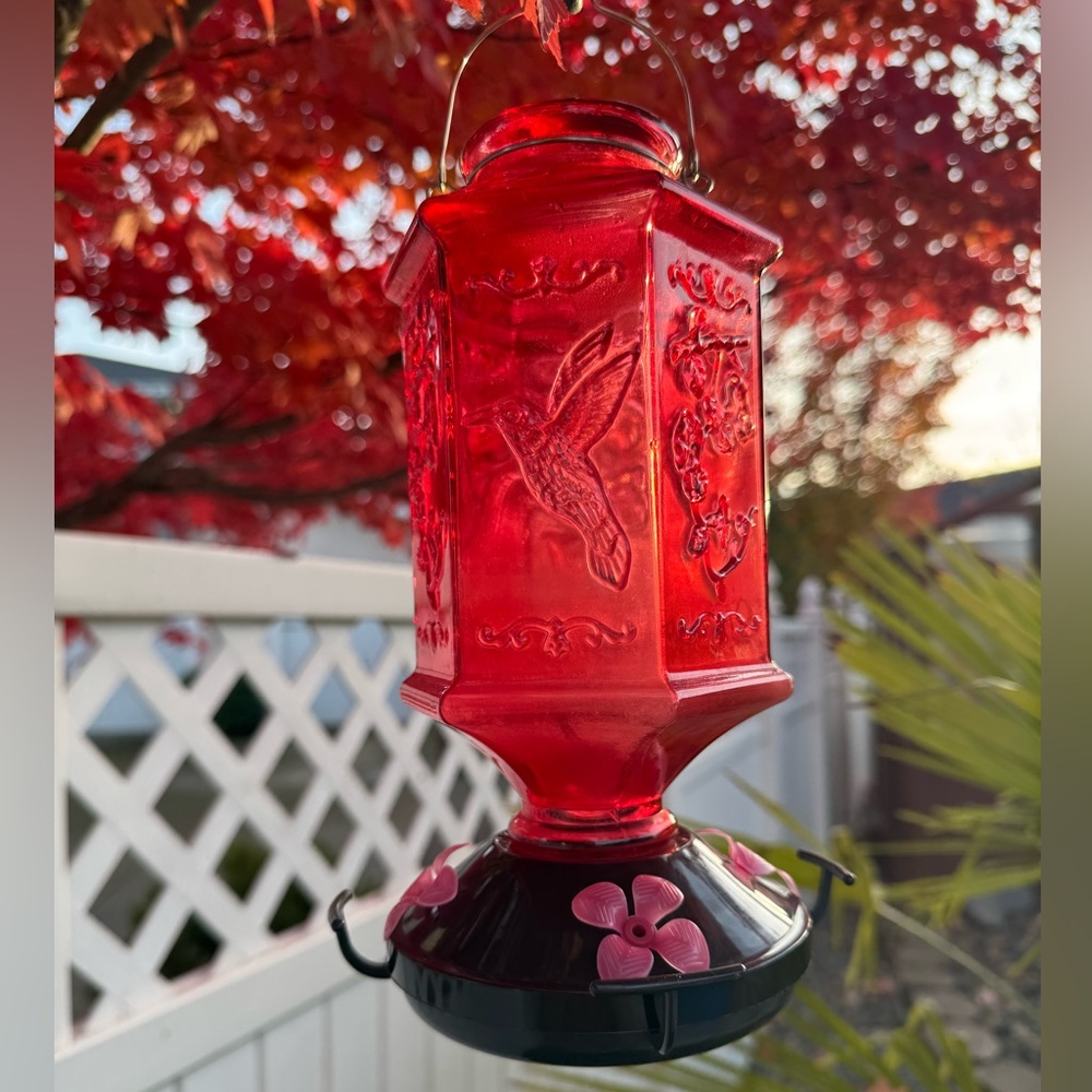 Red Glass Hummingbird Feeder - Picture 2 of 7
